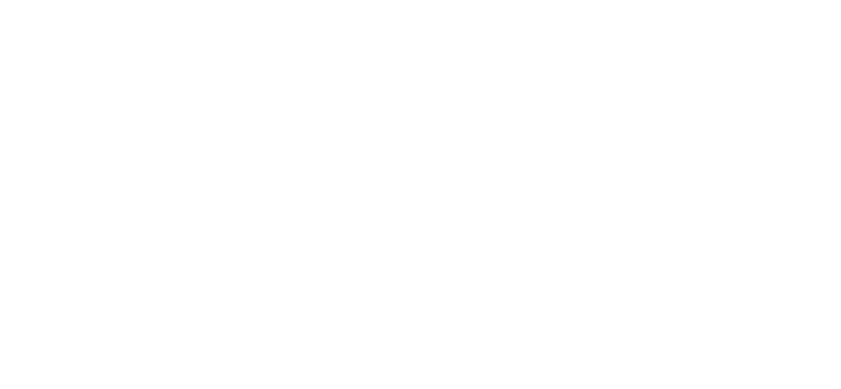 ZOE International logo white